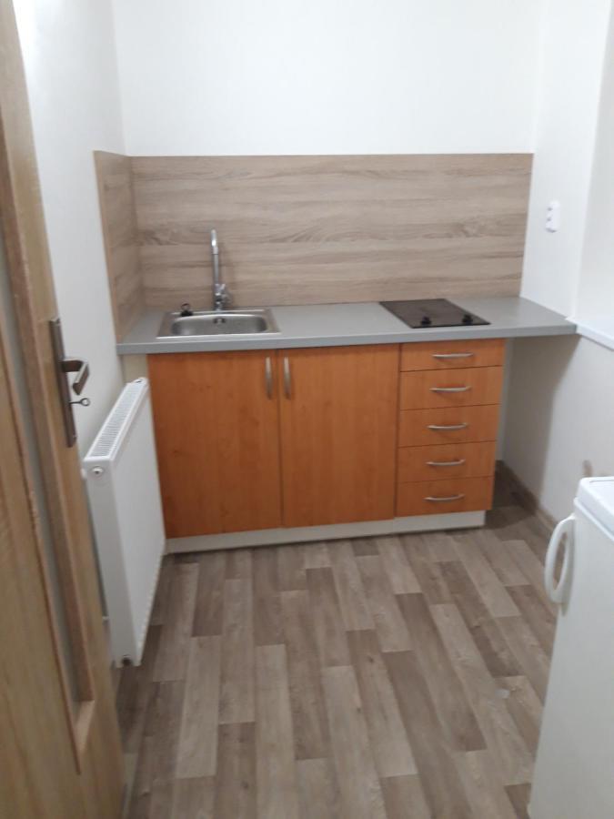 Apartman Plasy 외부 사진